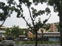 Blk 630 Bedok Reservoir Road (S)470630 #188032